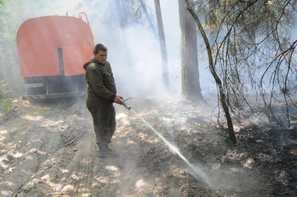 Высокую пожароопасность лесов и торфяников прогнозируют в Нижегородской области до 28 августа