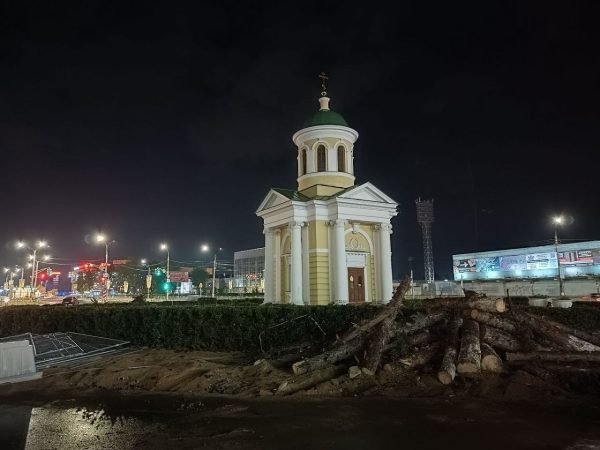 22 новых ели высадят взамен спиленных на Свадебной площади в Дзержинске