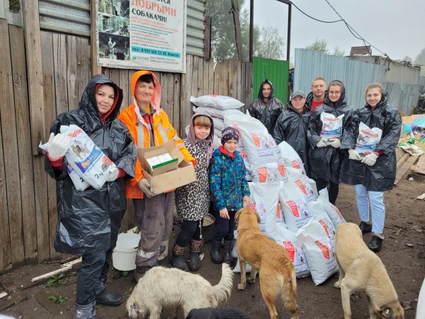 Волонтеры ОМК передали лекарства и корм приюту для бездомных животных в Выксе