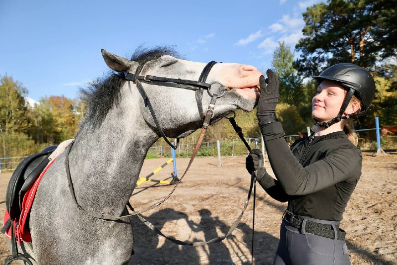 Еще 6 лошадей появились в центре конного спорта и иппотерапии в Нижнем Новгороде