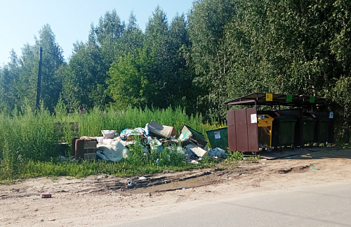 Жители Борского округа пожаловались на невывоз мусора