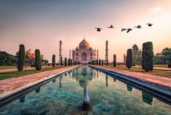 Правда или ложь: россиянам будут раздавать бесплатные туры в Индию?