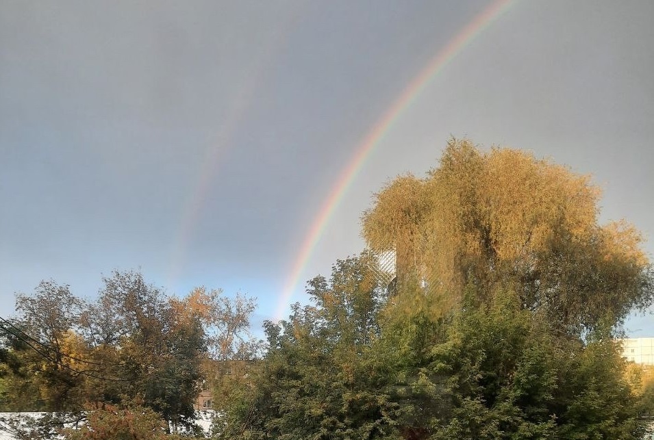 Анастасия Казакова