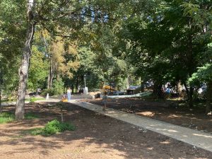 Завершение благоустройства парка Кулибина перенесли на октябрь