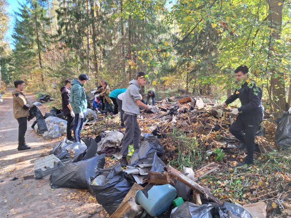 Более 30 кубометров мусора вывезли с территории Семеновского лесничества в ходе акции «Чистый лес»