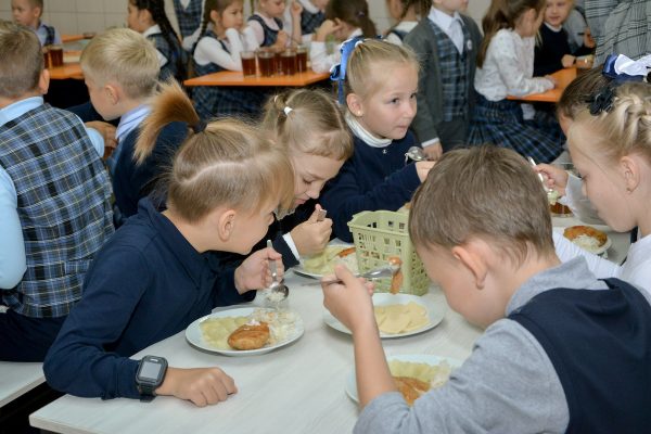 В школах Нижнего Новгорода проверяют качество питания