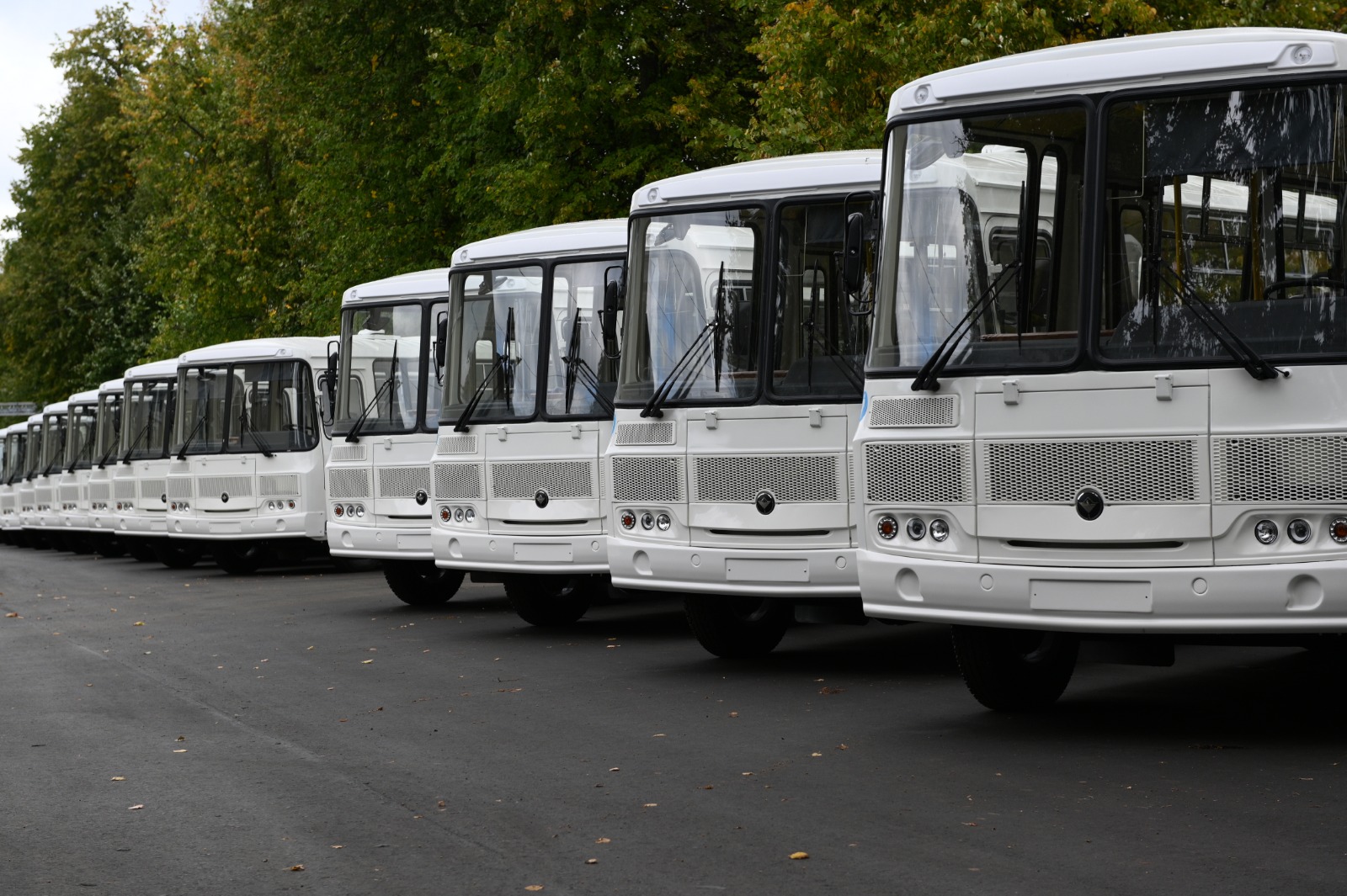 Первая партия автобусов произведена на ПАЗе для муниципалитетов  Нижегородской области 07 сентября 2023 года | Нижегородская правда