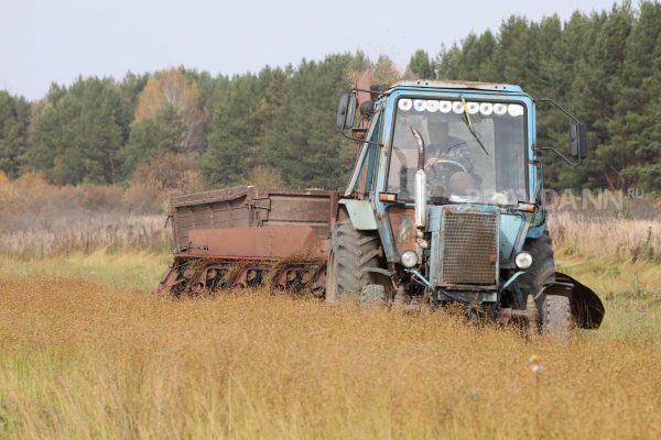 Нижегородские аграрии побили рекорд по уборке зерновых за последние 30 лет