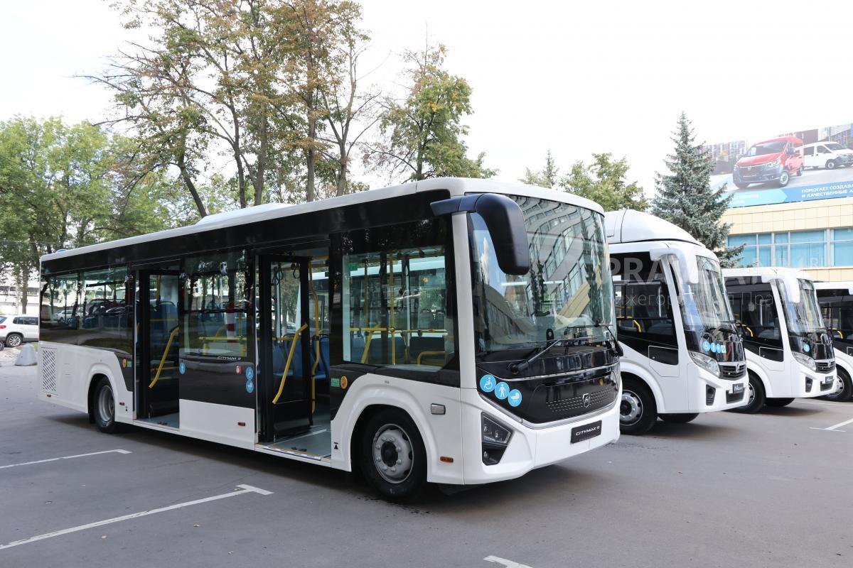 33 новых автобуса доставили в Арзамас, Богородск, Городец и Павлово