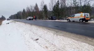 Два человека погибли в массовом ДТП с грузовиком в Починковском районе