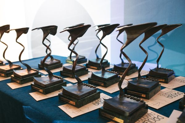 Коммуникационная кампания «Выкса-фестиваля» получила пиар-премию Proba Awards за продвижение города