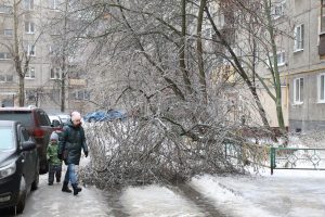 Кто должен компенсировать ущерб от урагана?