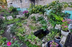 Победители конкурса «Дворовый переворот» воплотили свои мечты в&nbsp;жизнь