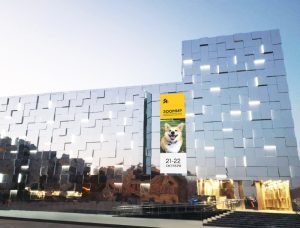 Выставка домашних кошек и собак пройдет на Нижегородской ярмарке 21 и 22 октября