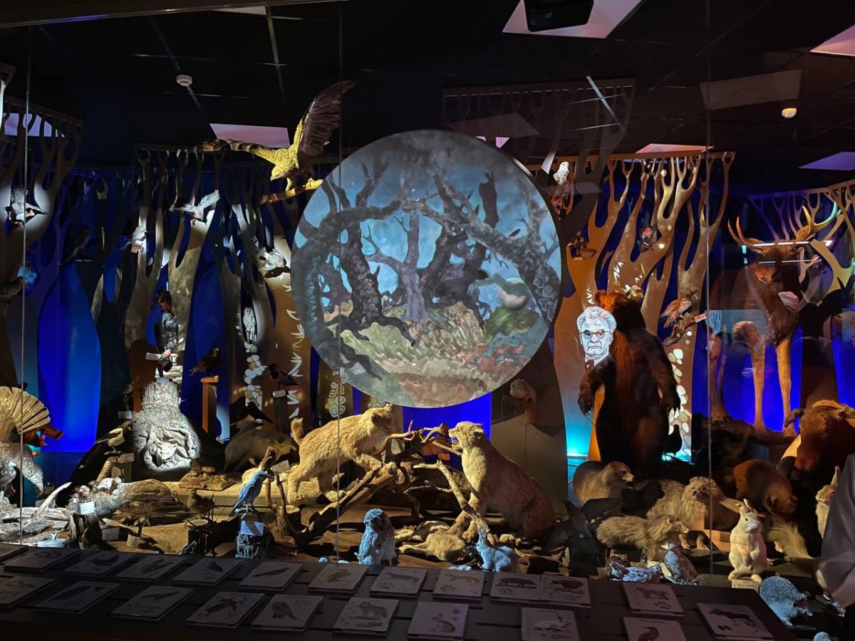 В Арзамасском округе открылся после капитального ремонта и переоборудования муниципальный музей «Природа»