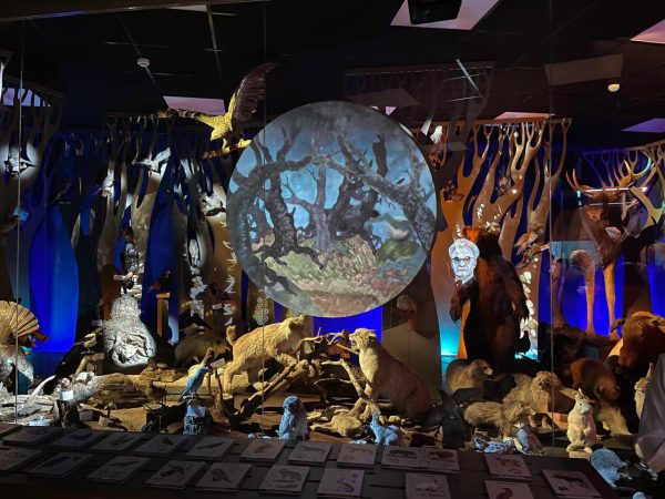 В Арзамасском округе открылся после капитального ремонта и переоборудования муниципальный музей «Природа»