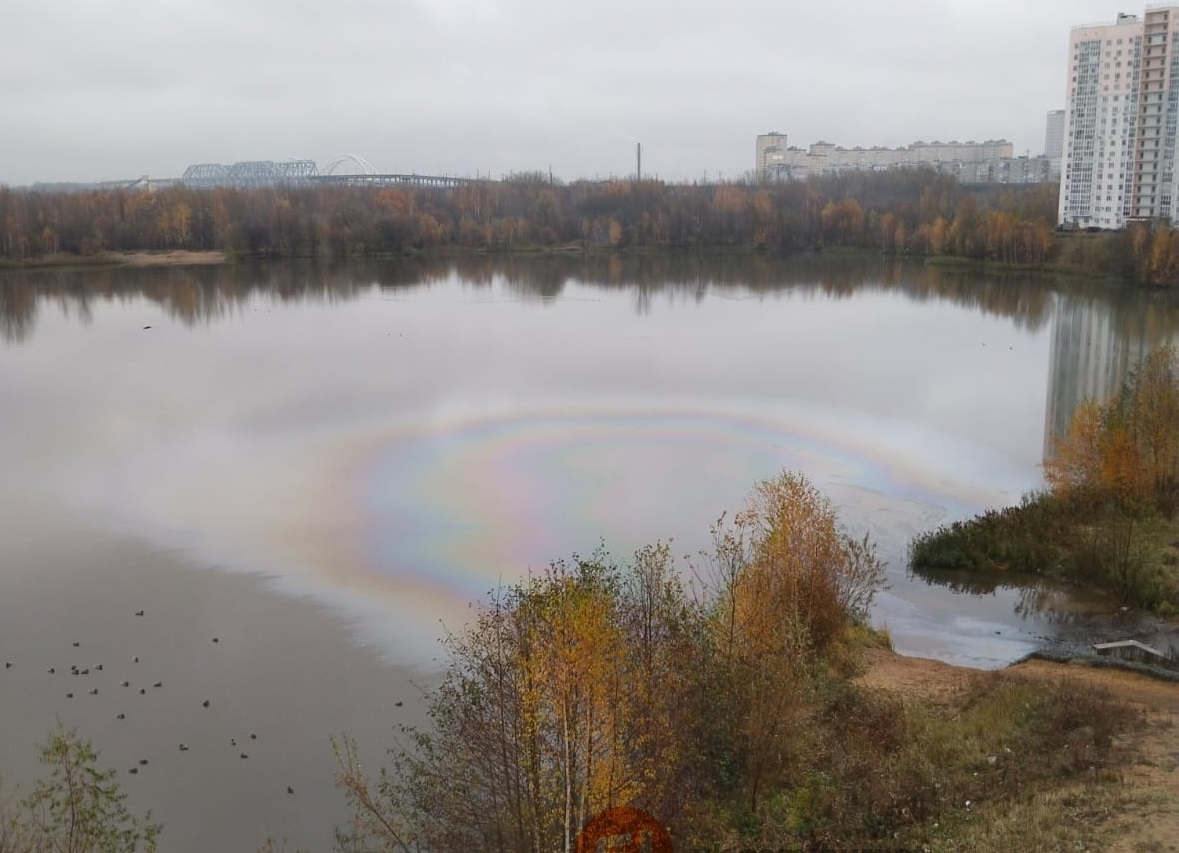 Бурнаковское озеро покрылось нефтяными пятнами