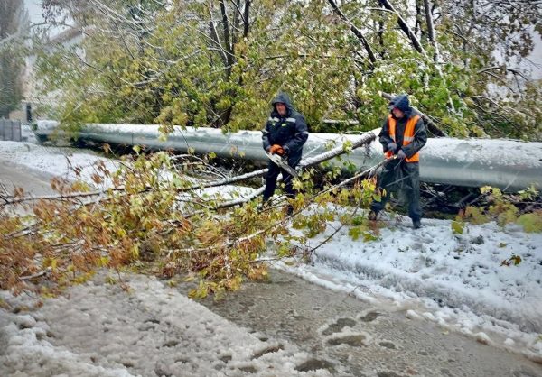 Более 200 деревьев упало в Нижнем Новгороде из-за непогоды