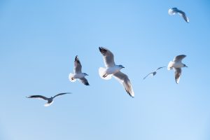 Приметы на 8 мая: что можно и чего нельзя делать в этот день