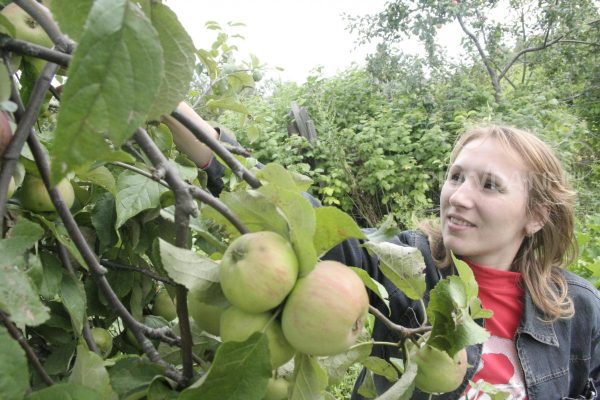 Приметы на 30 октября: что можно и чего нельзя делать в этот день