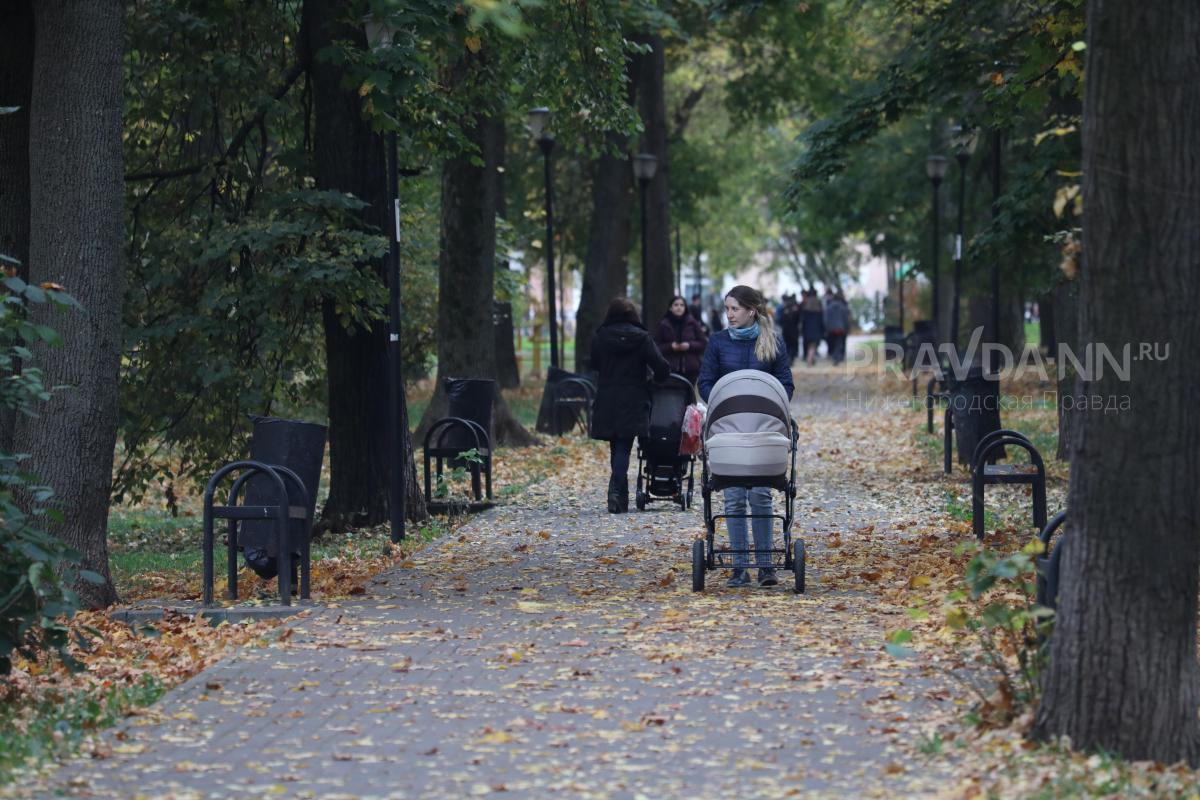 Благоустройство парка Кулибина завершат к концу октября