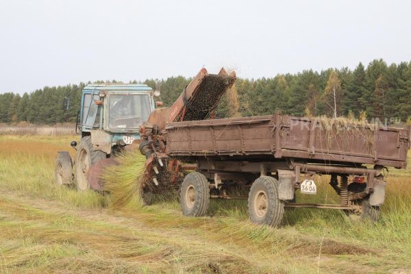 2,1 млн тонн зерна собрали аграрии в Нижегородской области