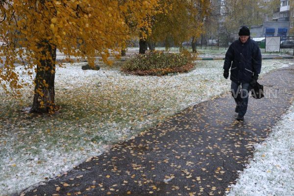 Сильный ветер ожидается в Нижегородской области 22 ноября