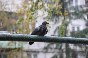 Опубликован прогноз погоды на новую рабочую неделю в Нижнем Новгороде
