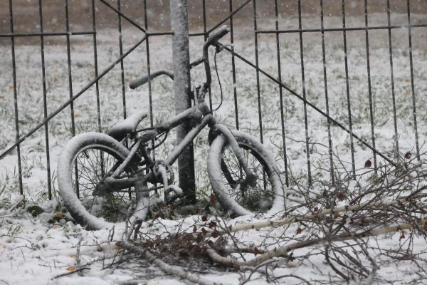 Снежный апокалисис: как Нижегородская область справляется с первым разгулом зимней стихии