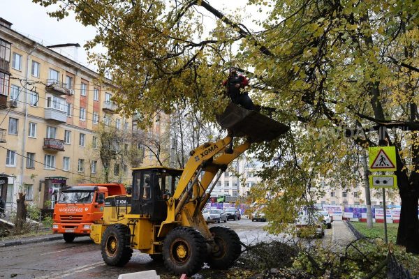 533 дерева упали от сильного ветра в Нижнем Новгороде