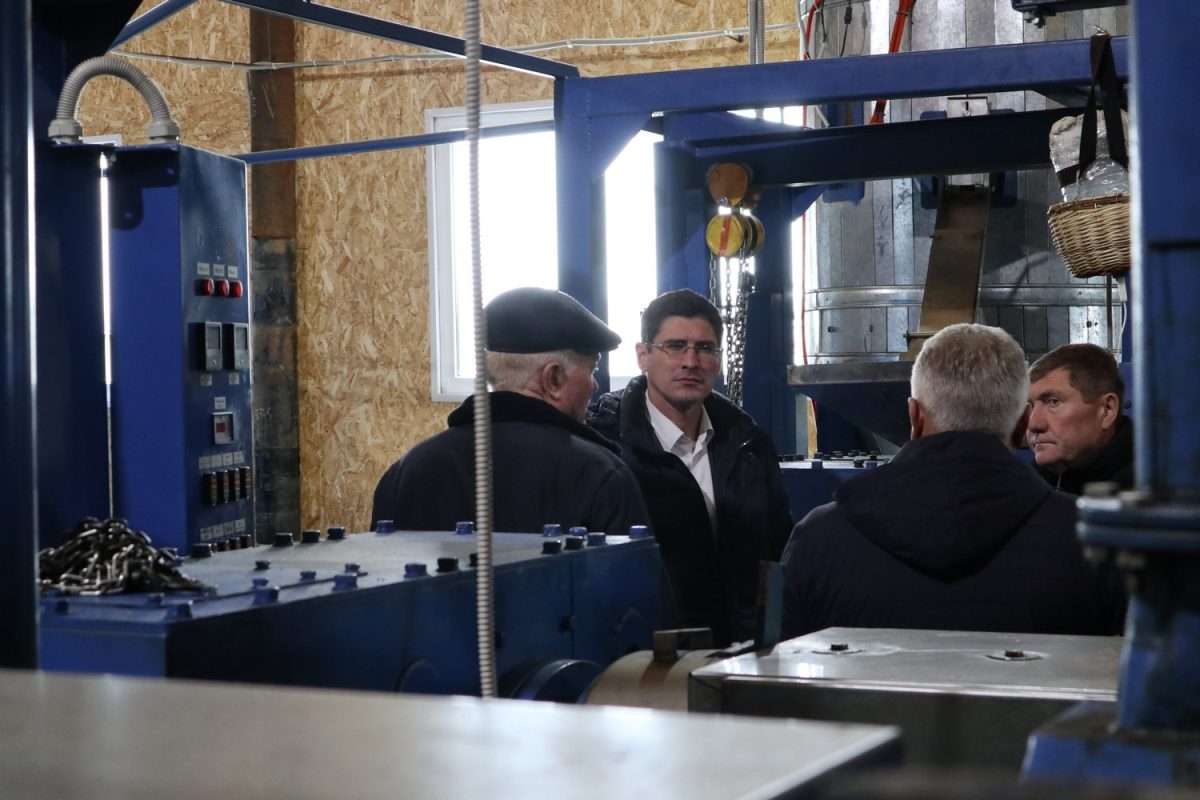 Производство масличных культур в Нижегородской области увеличилось в 2023 году на 22%