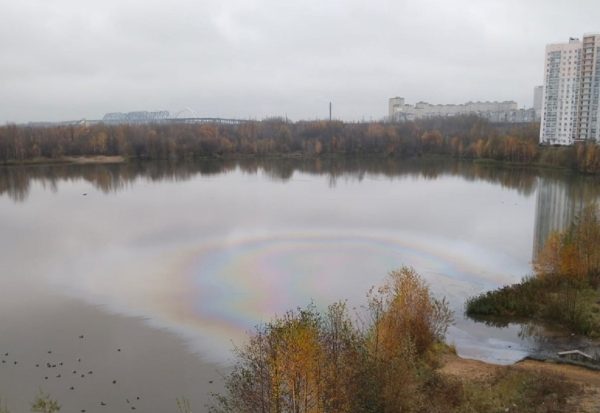 На озере в Бурнаковке появились нефтяные разводы