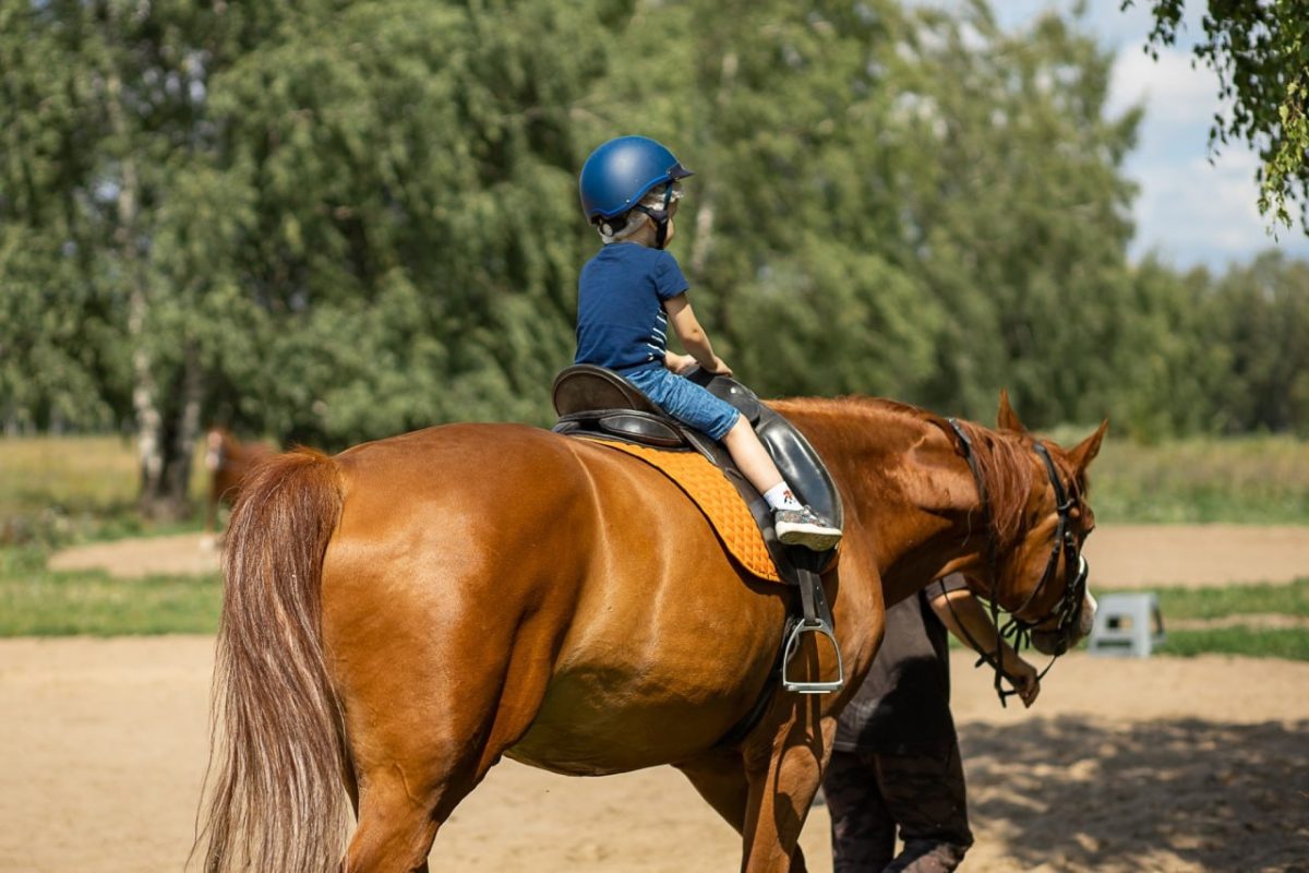 Прогулки на лошадях провели кстовские волонтеры для семей участников СВО