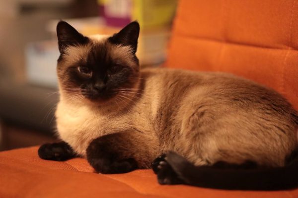 Приметы на 15 августа: что можно и чего нельзя делать в этот день