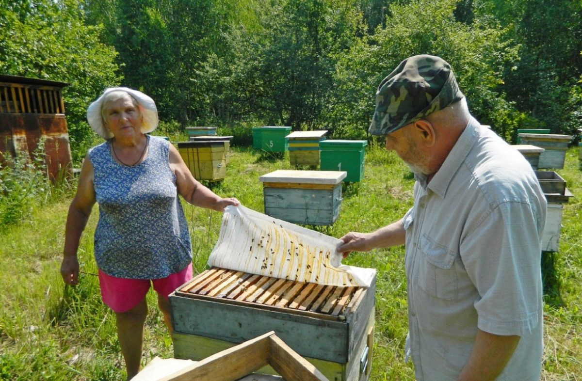 Лучший пасечник Александр Лямин отправил 40 литров мёда бойцам в зону СВО