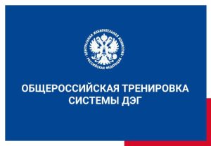 Нижегородцы могут принять участие в общероссийском тестировании дистанционного электронного голосования