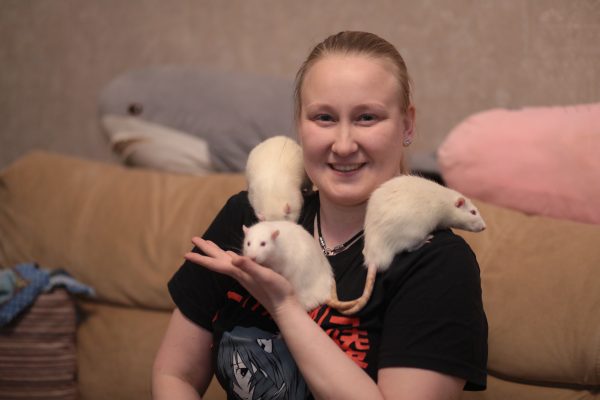 22 крысы и их королева: педиатр из Нижнего Новгорода разводит дома хвостатых грызунов