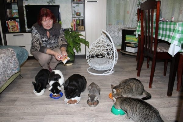 Татьяна Щербакова со своими спасёнными котиками