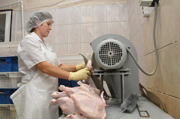 Почему курятина в нижегородских магазинах стоит дороже свинины: выясняем с экспертами