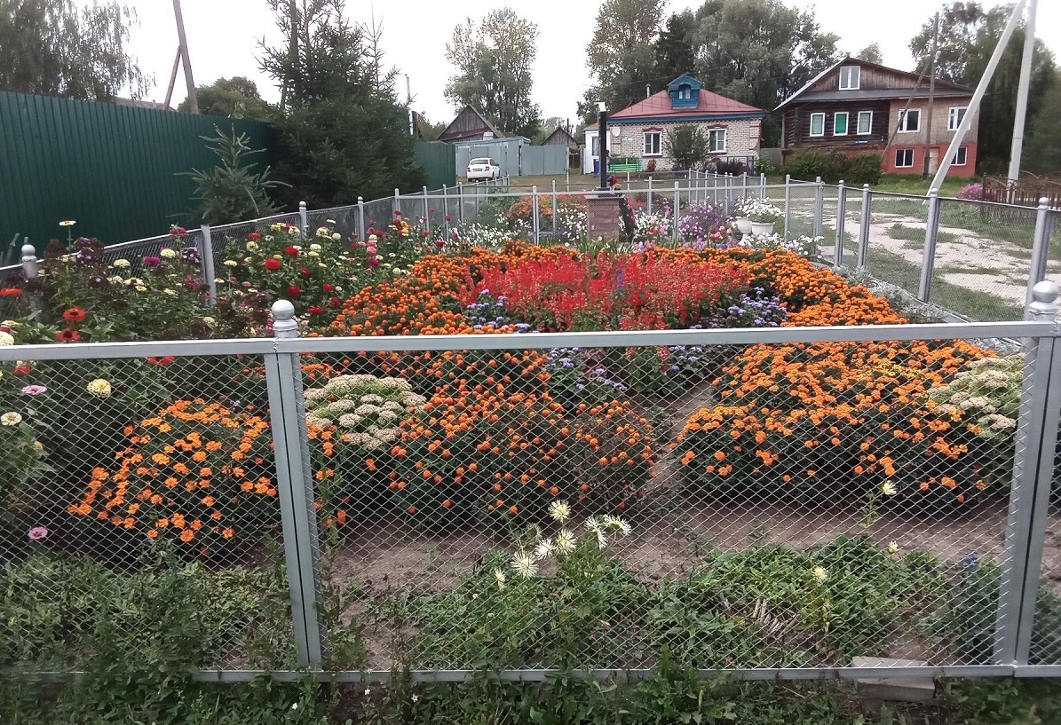Роскошный цветник, за которым ухаживает Вера Мазанова, преображает летом село