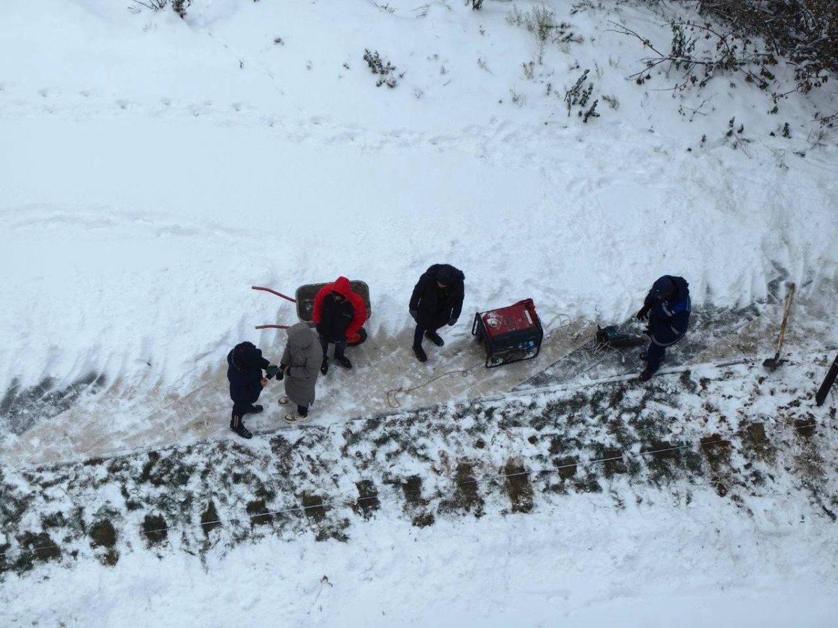 Нижегородцы возмутились посадкой деревьев в мороз на Бору