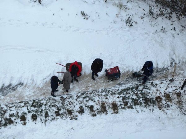 Стало известно, почему деревья высадили в мороз около станции канатной дороги