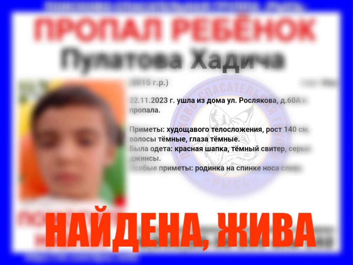 Пропавшая на Бору 8-летняя девочка найдена живой в Нижегородской области 22  ноября 2023 года | Нижегородская правда