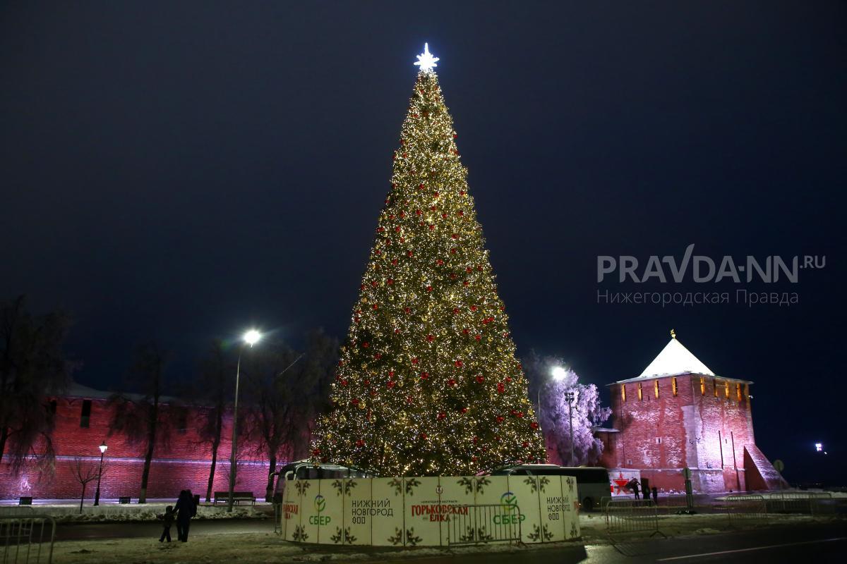 Главную новогоднюю елку в Нижнем Новгороде установят к 10 декабря