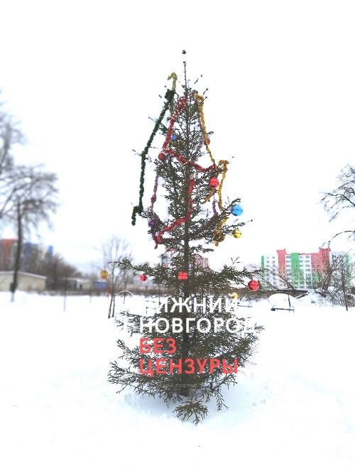 Как сообщают местные жители, елку посадили еще летом в парке "Горького"
