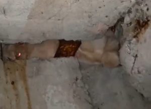 Кот застрял в щели между стеной и полом в доме в Нижнем Новгороде