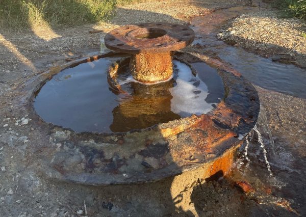 Благоустройство источников Девонского моря в Лыскове запланировано на 2024&nbsp;год