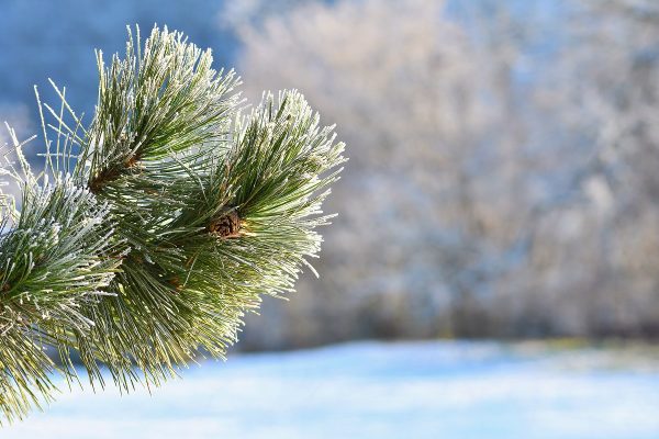 Приметы на 25 февраля: что можно и чего нельзя делать в этот день