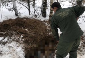 На Бору задержали нижегородца, закопавшего тело своего знакомого