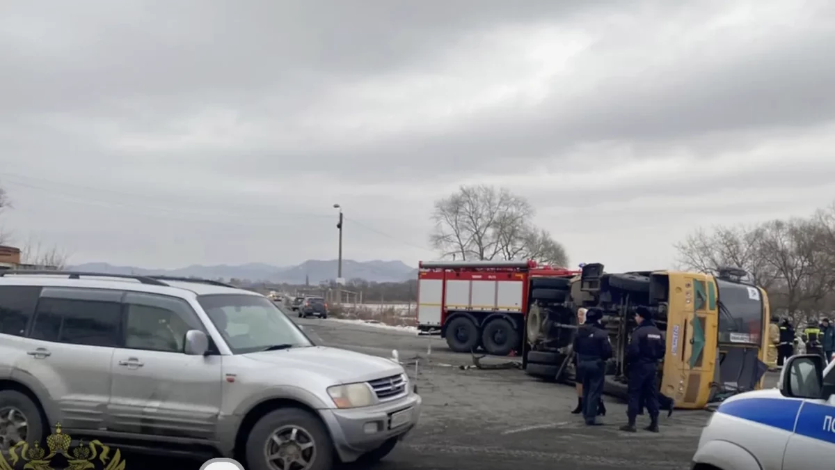 9 человек пострадали при столкновении школьного автобуса с иномаркой в Приморье